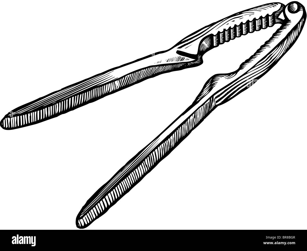 Un bianco e nero di disegno di un cracker di aragosta Foto Stock