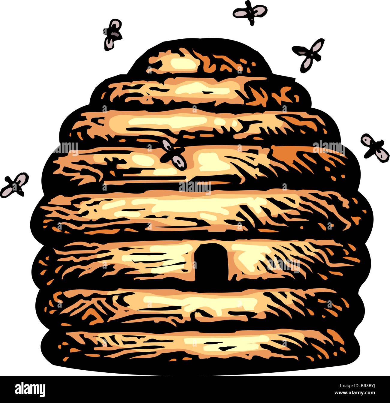 Api battenti intorno a un alveare su sfondo bianco Foto Stock