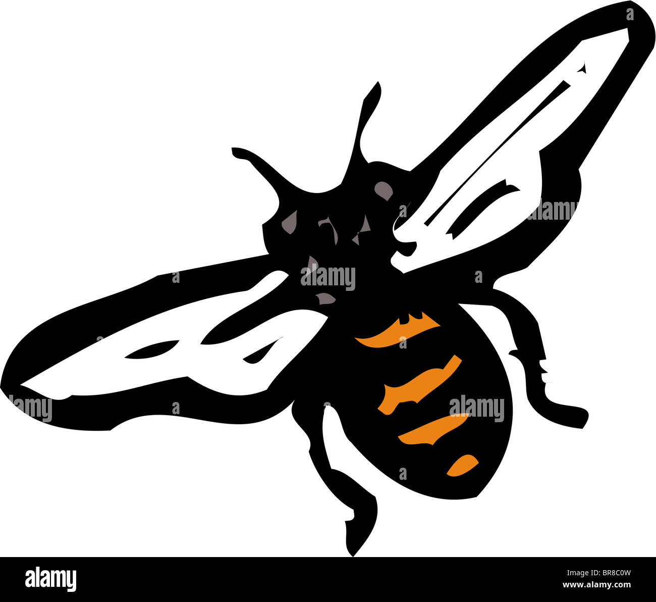Illustrazione di un ape Foto Stock