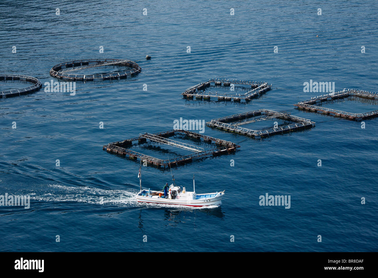 Fattoria di Pesce e recipiente nautico Foto Stock