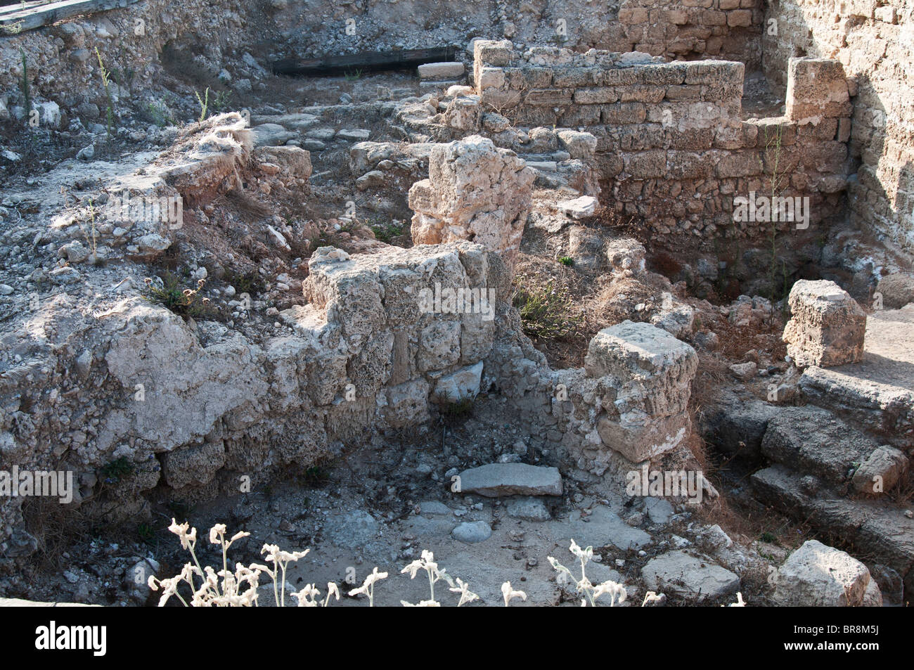 I resti di epoca romana al Apollonia Israele Foto Stock