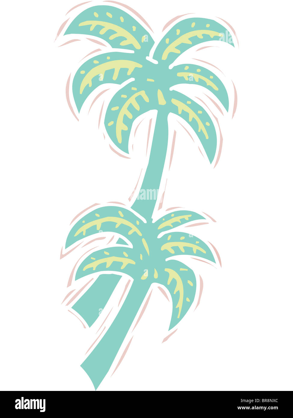 Illustrazione delle palme Foto Stock