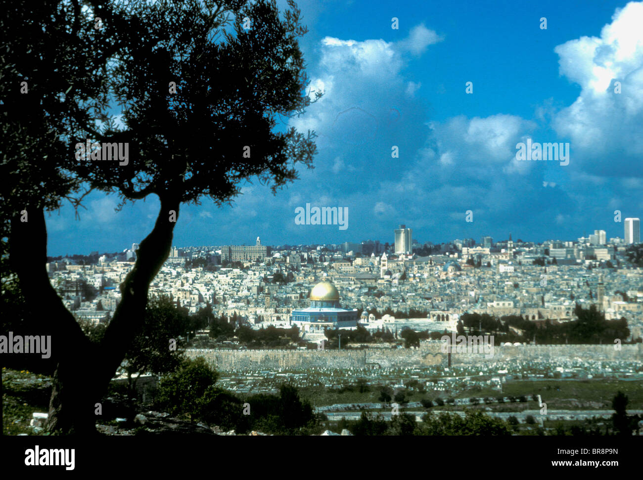 Vista della vecchia Gerusalemme dal monte degli Ulivi, Israele Foto Stock