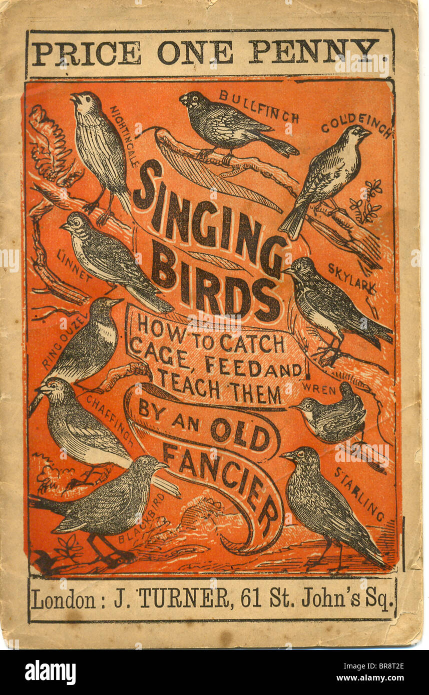 Penny opuscolo intitolato il canto degli uccelli Foto Stock