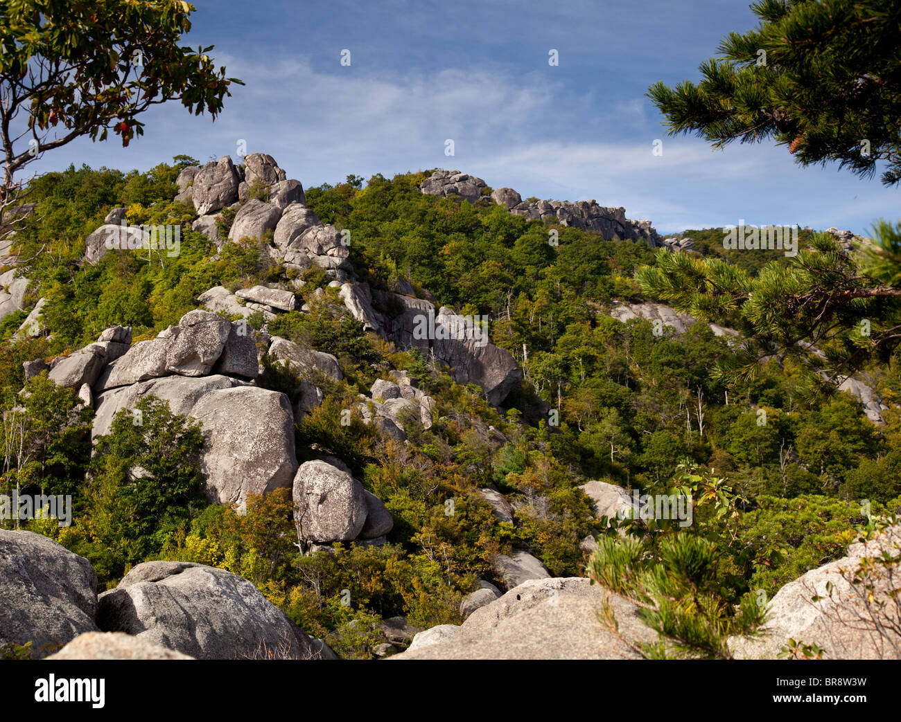 Shenandoah National Park su una salita di Old Rag nelle Blue Ridge Mountains, Virginia, Stati Uniti Foto Stock