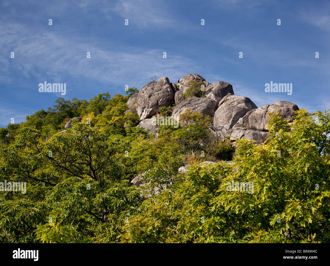 Parco Nazionale di Shenandoah mountain e rocce, STATI UNITI D'AMERICA Foto Stock