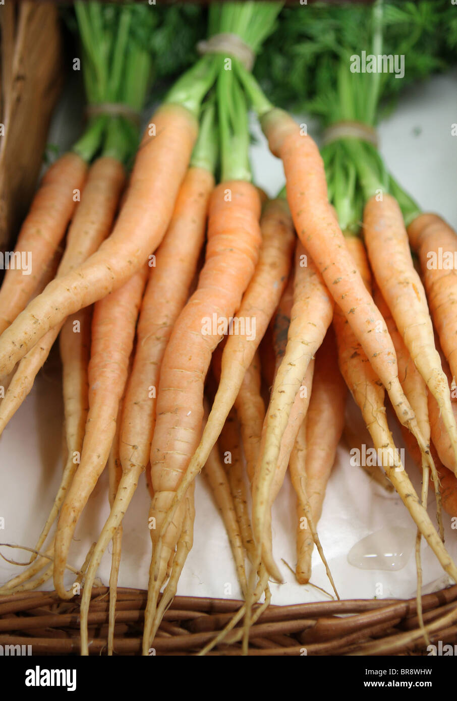 Freschi carote organico per la vendita - messa a fuoco centrale Foto Stock