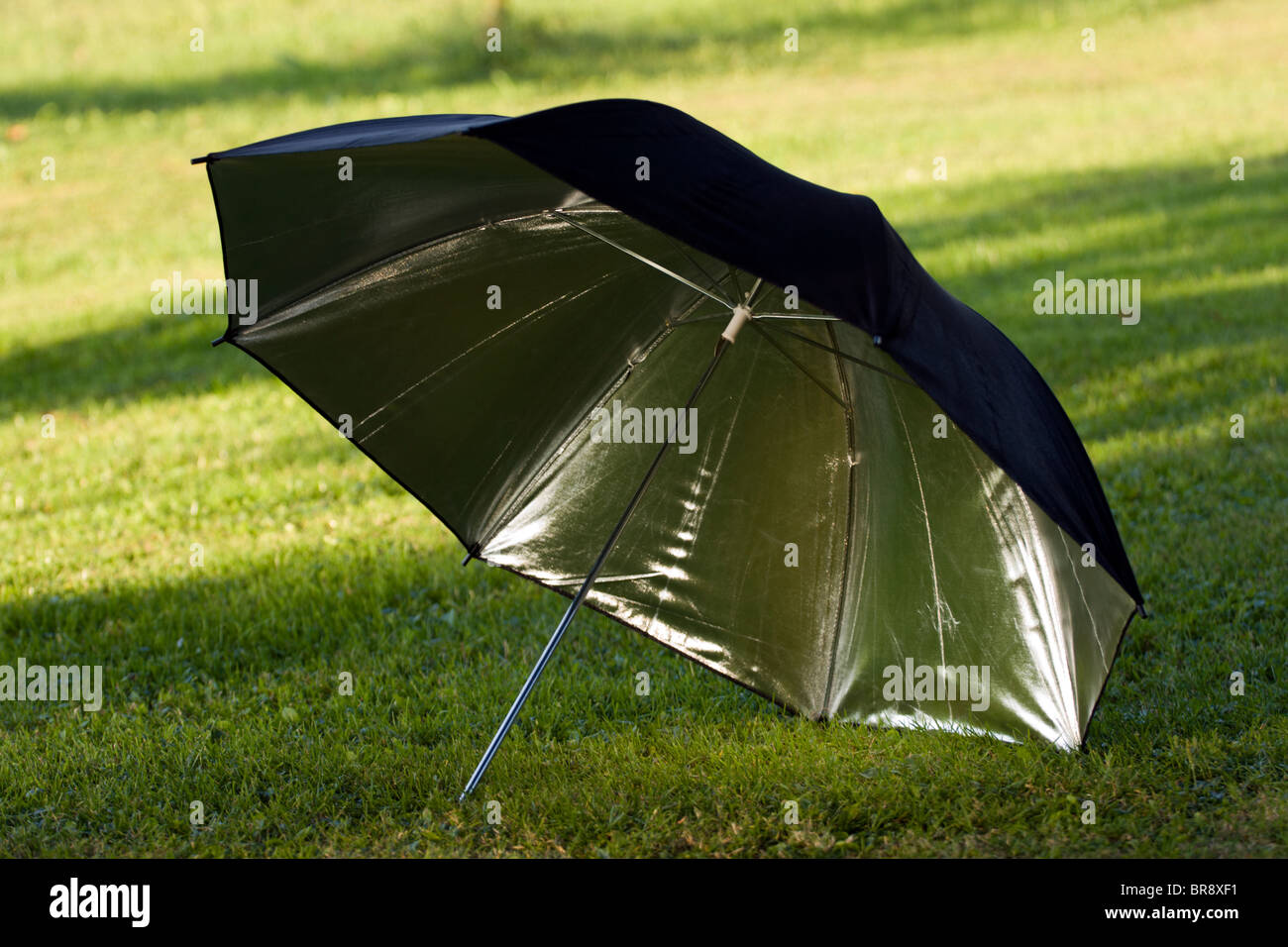 Studio fotografico in bianco e nero e argento ombrello riflettente sull'erba. Foto Stock