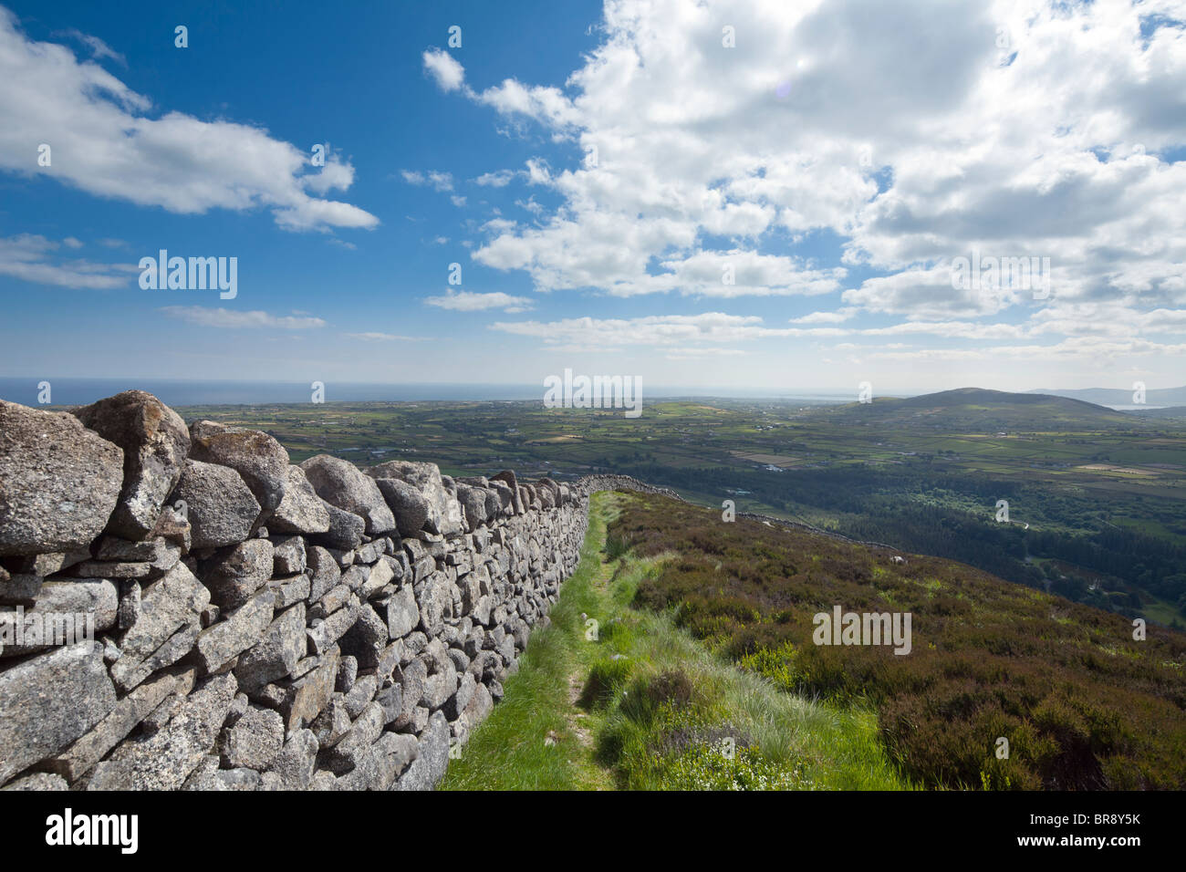 Asciugare la parete in pietra che conduce da Slieve Binian, Mourne Mountains, County Down, Irlanda del Nord, Regno Unito, guardando verso Carlingford Lough Foto Stock