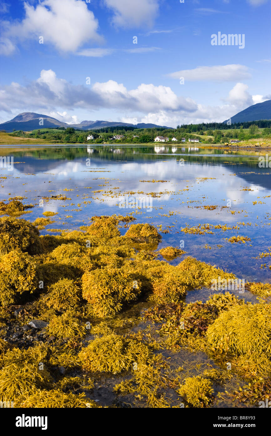 Loch Don, Lochdon, Isle of Mull, Argyll, Scotland, Regno Unito. Foto Stock