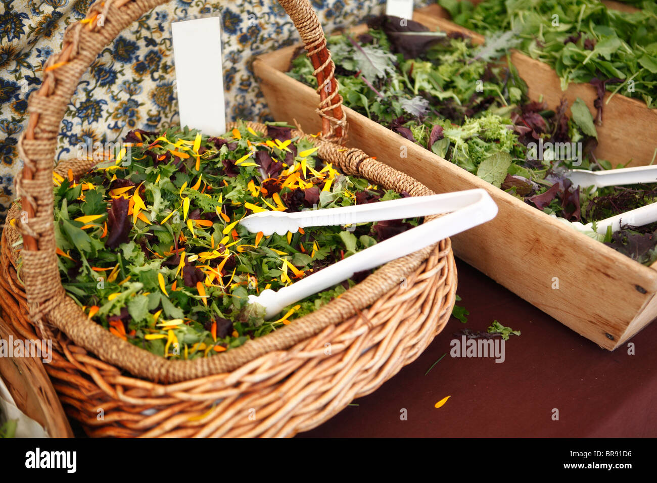 Colorata e sano tipi di lattughe sul display nella graziosa cesti con carta bianca comune e nuova tag per aggiungere la vostra pubblicità a. Foto Stock