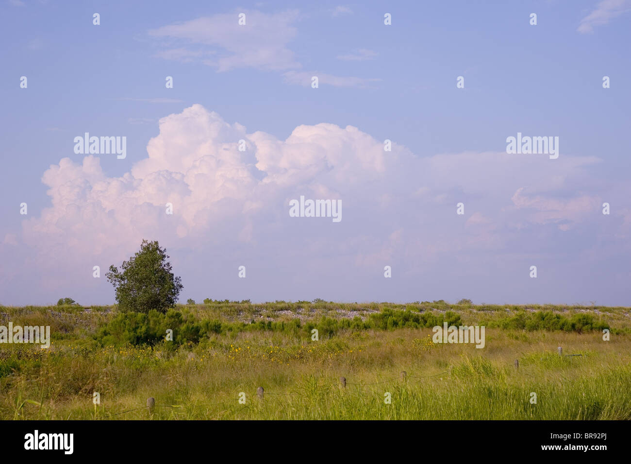 Paesaggio in Texas Foto Stock