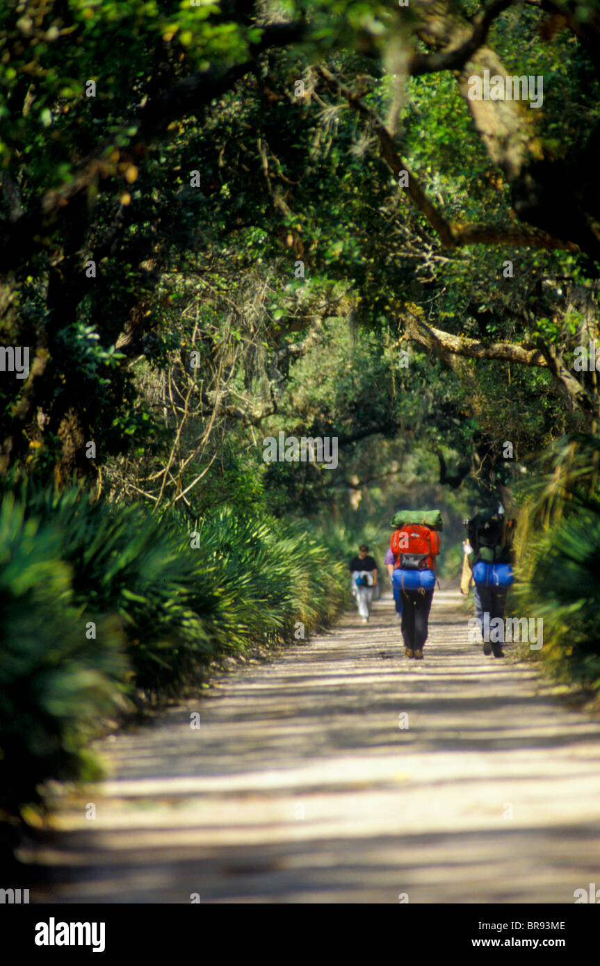 Backpackers a piedi in solitudine silenziosa dell'interno sentiero attraverso le incontaminate foreste marittimo su una soleggiata giornata di primavera su Georgi Foto Stock