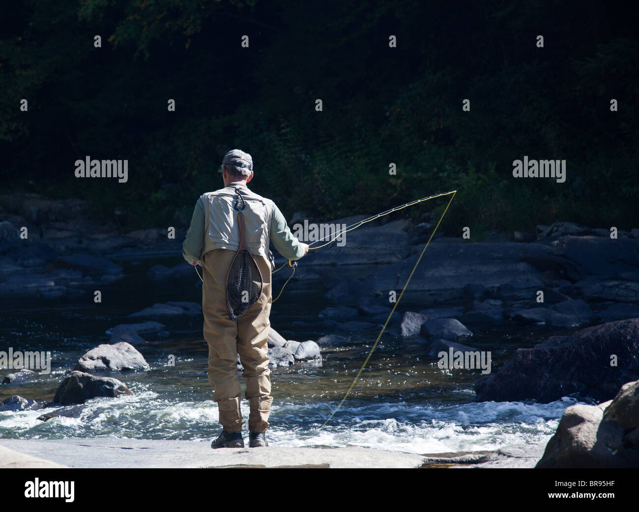 Il pescatore a mosca in un fiume rapido vicino a deglutire cade nel Maryland Foto Stock