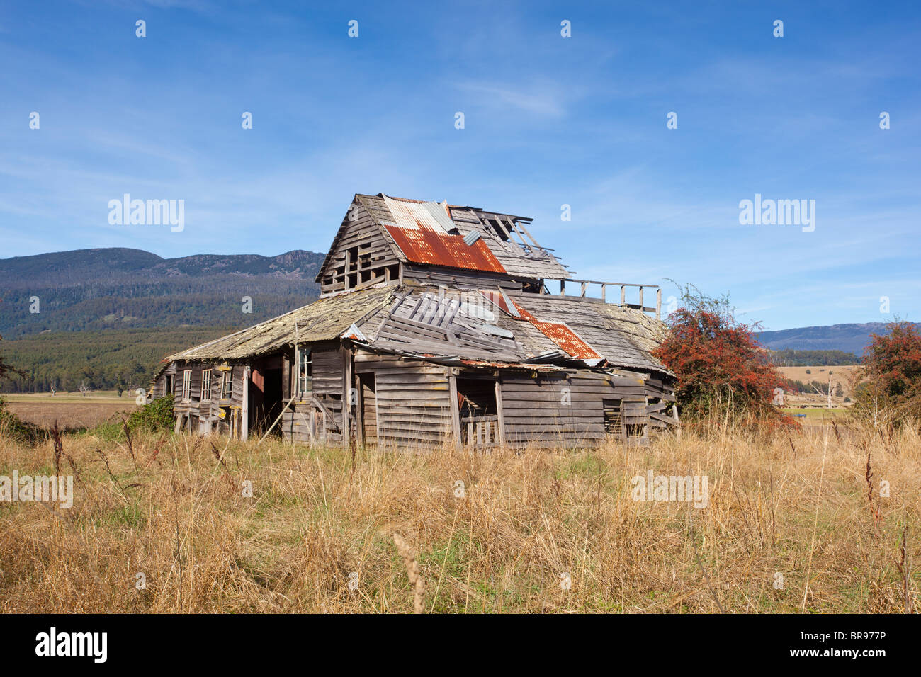 Un'azienda abbandonata edificio nella valle di meandro nel nord della Tasmania Foto Stock