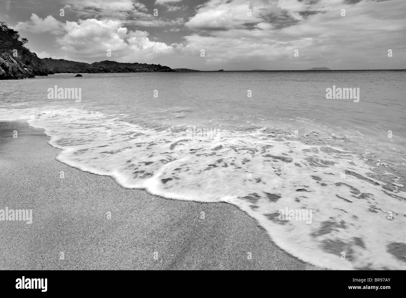 Spiaggia di trunk con onda. San Giovanni isola. Isole Vergini americane. Parco Nazionale delle Isole Vergini. Foto Stock