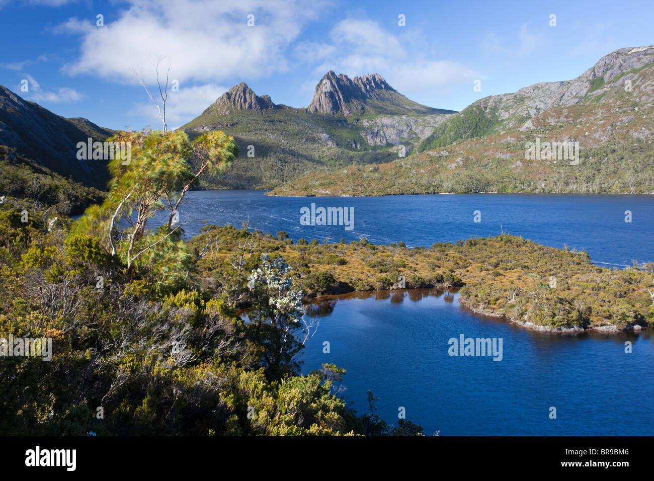Cradle Mountain & Colomba lago dal ghiacciaio Rock Foto Stock