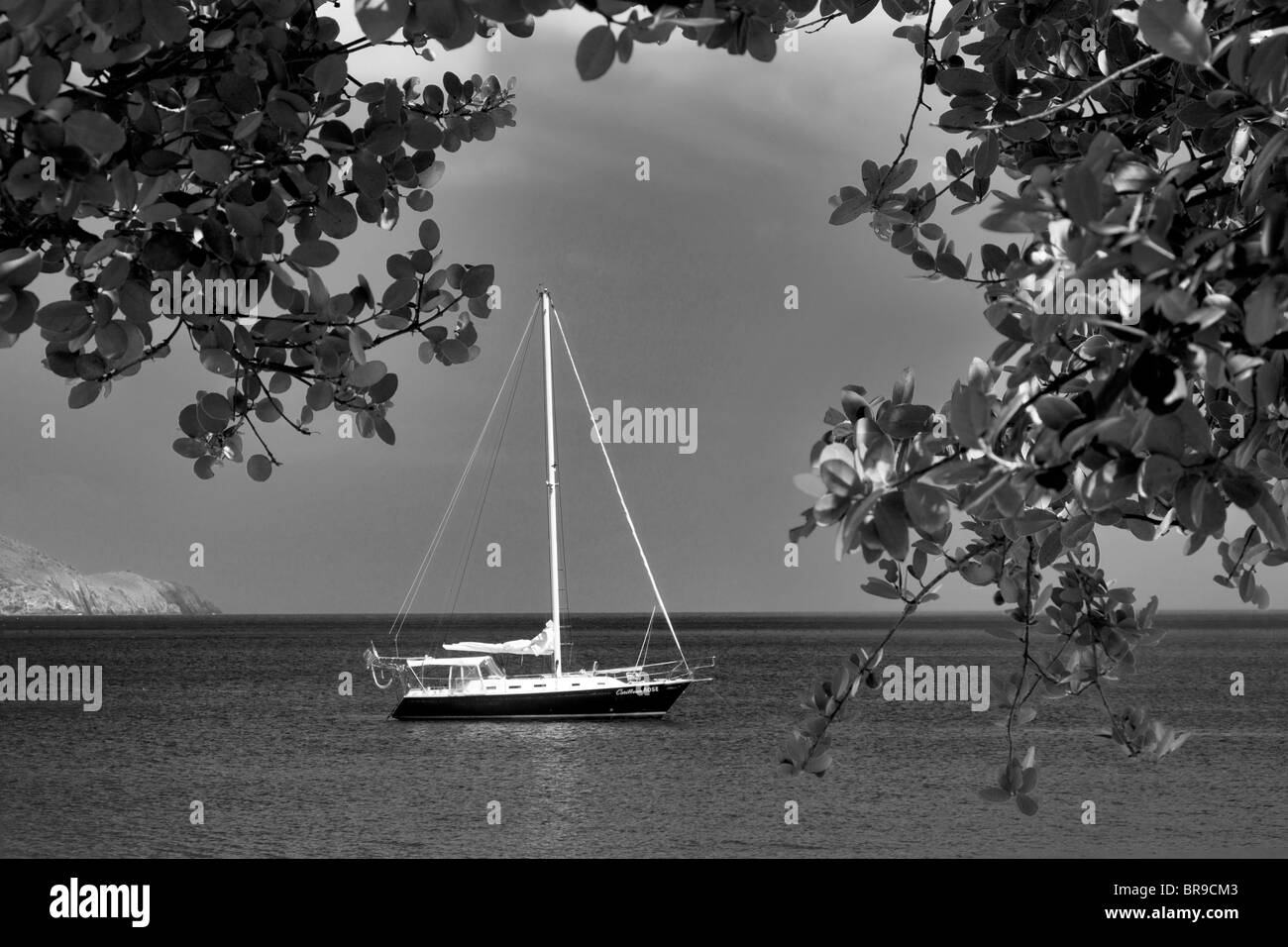 Barche a vela ormeggiata a Megan's Bay. San Tommaso. Isole Vergini Americane Foto Stock