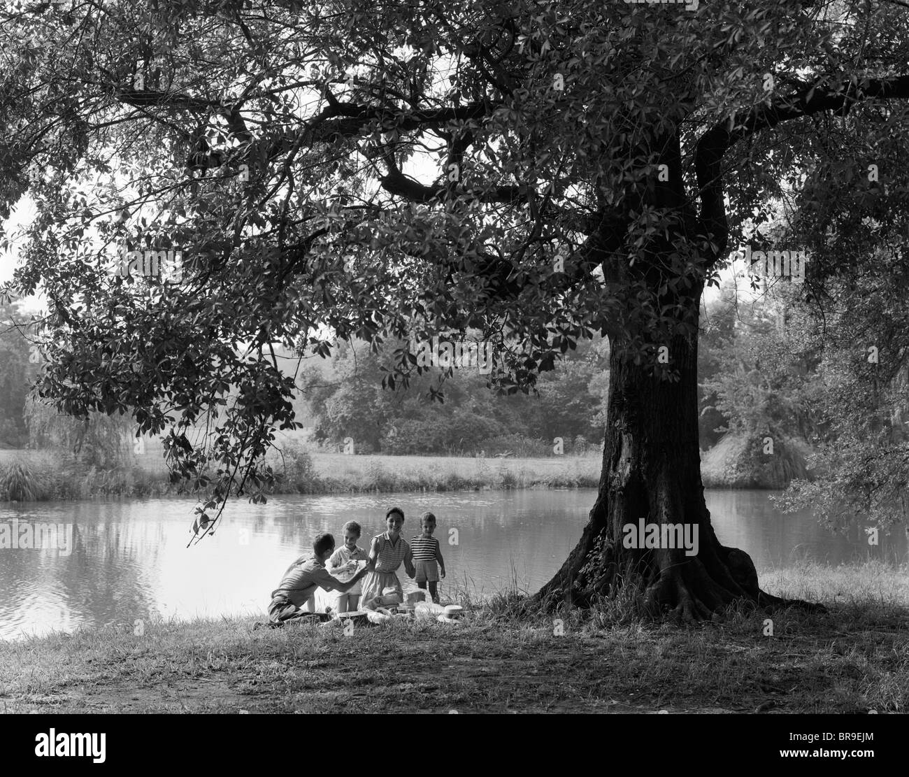 Anni sessanta picnic in famiglia seduto sotto agli alberi da stagno di acqua Foto Stock