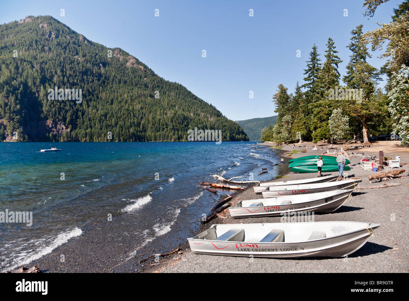 Imbarcazioni a remi e canoe redatto oltre la linea di galleggiamento sulla spiaggia ghiaiosa di Crescent Lake Lodge Resort Clallam County Washington Foto Stock