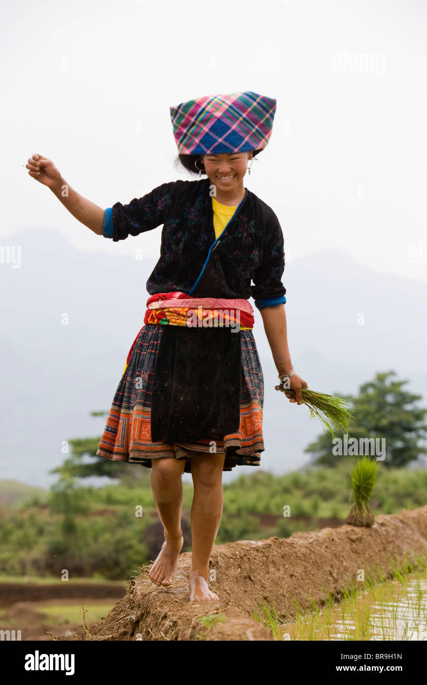 Donna Hmong saldi a piedi nudi attraverso la risaia. Foto Stock