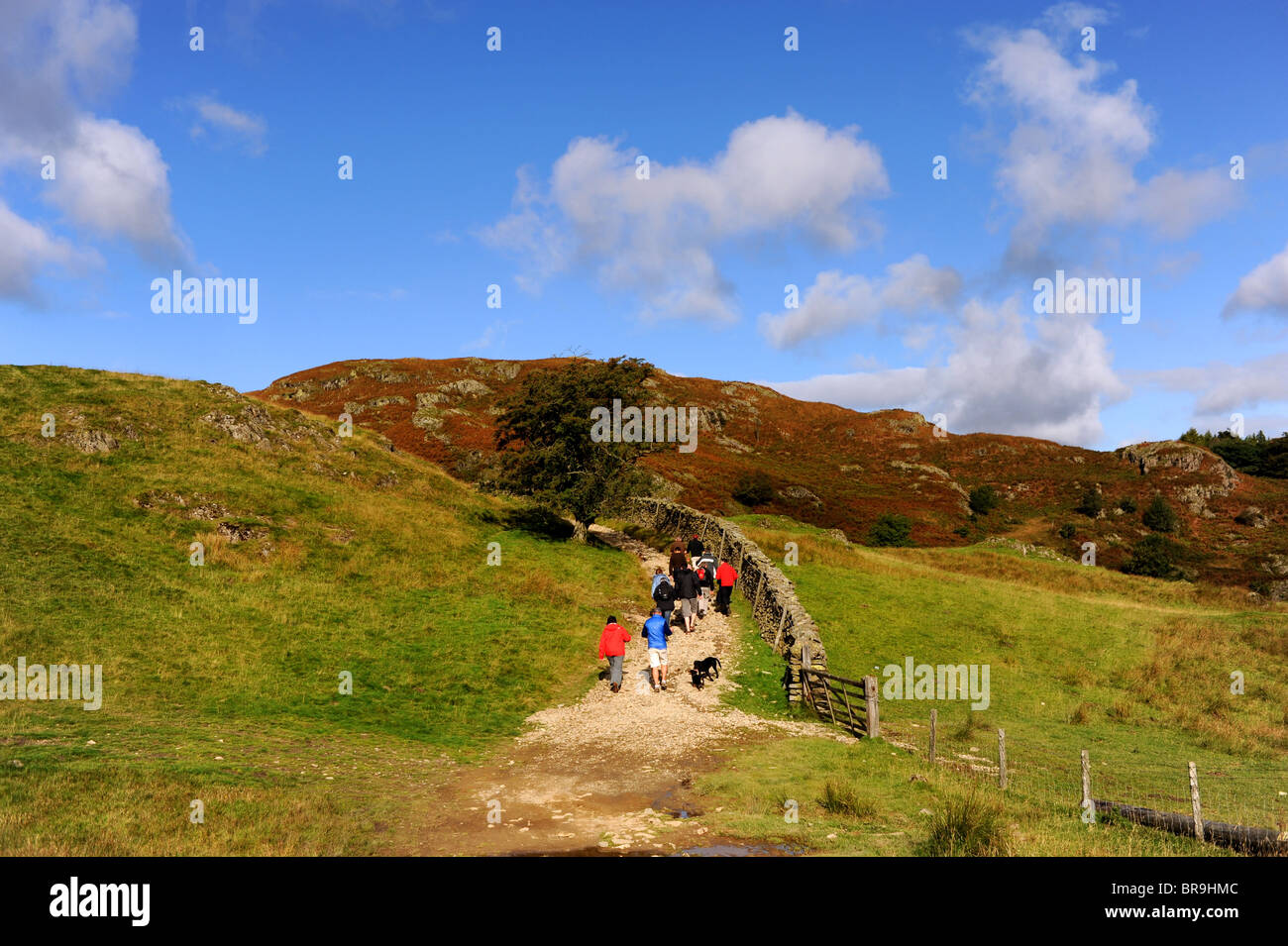 Walkers sul percorso per Loughrigg cadde vicino al Distretto del Lago Borgo di Ambleside Cumbria Regno Unito Foto Stock