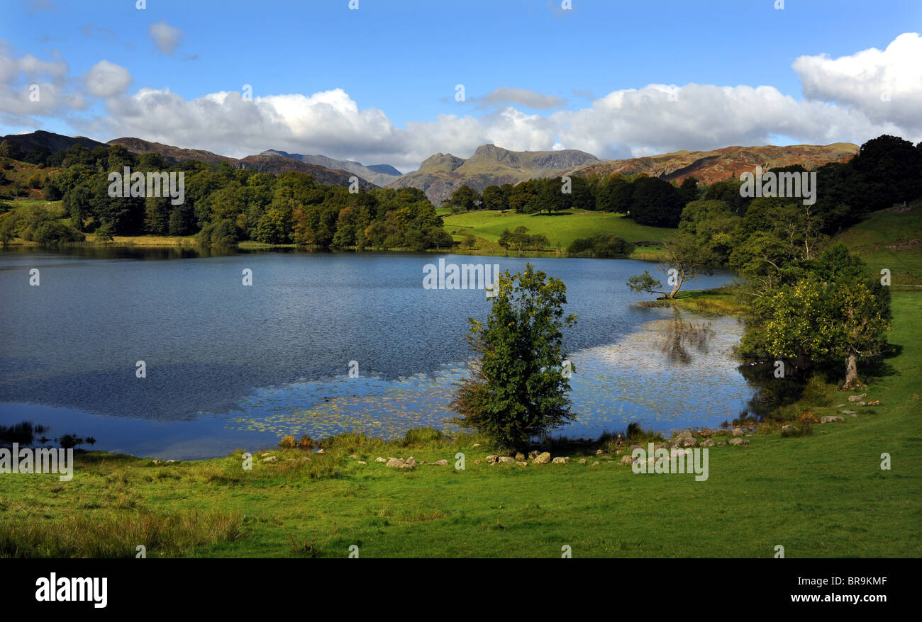 Loughrigg Tarn vicino al Distretto del Lago Borgo di Ambleside Cumbria Regno Unito Foto Stock