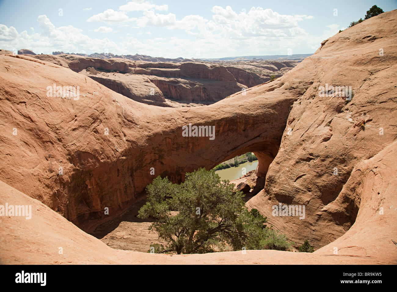 Jeep trail attraverso il Parco Nazionale di Arches, Moab, Utah, Stati Uniti d'America Foto Stock