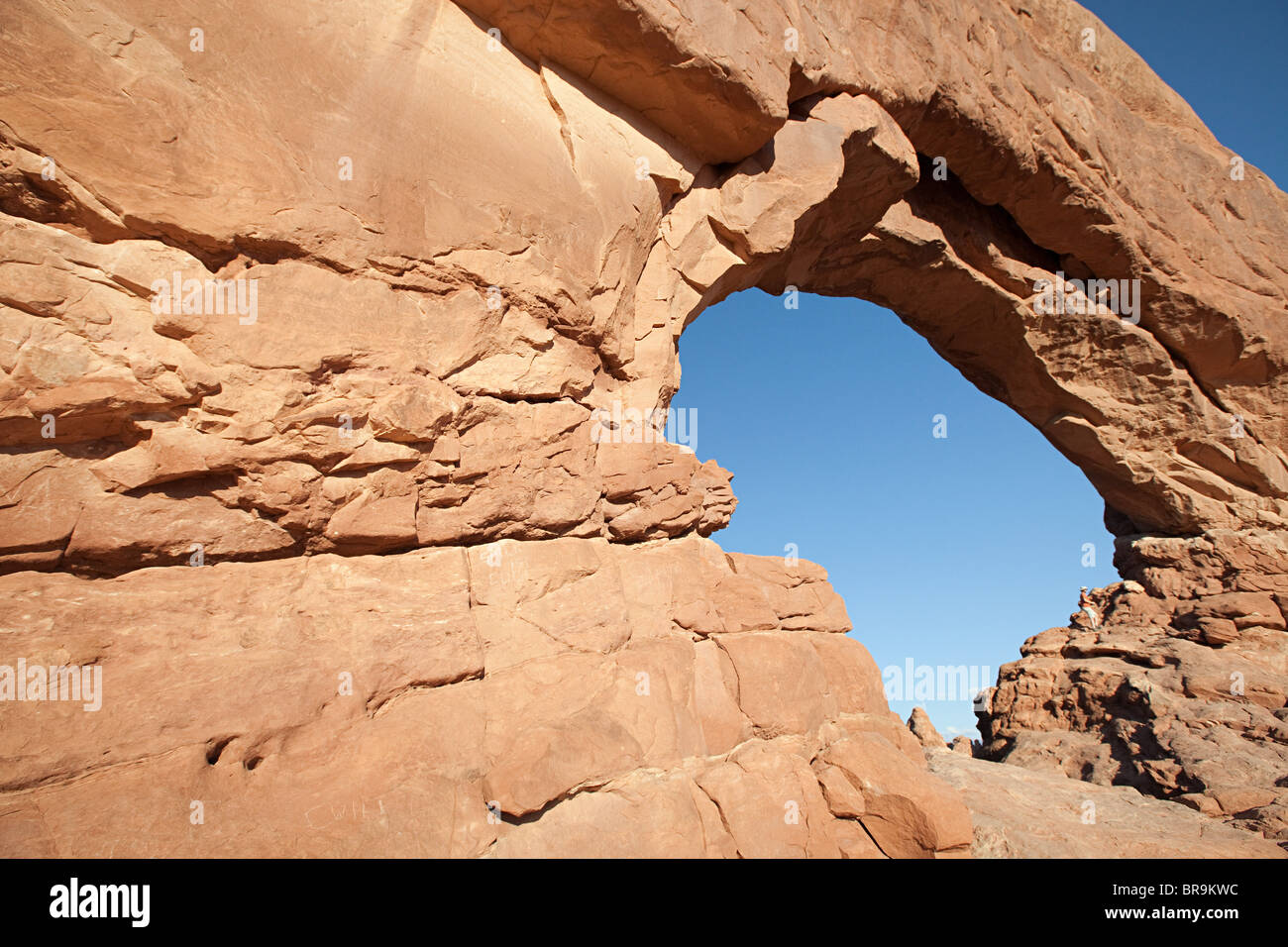 Finestra del sud, il Parco Nazionale di Arches, Moab, Utah, Stati Uniti d'America Foto Stock