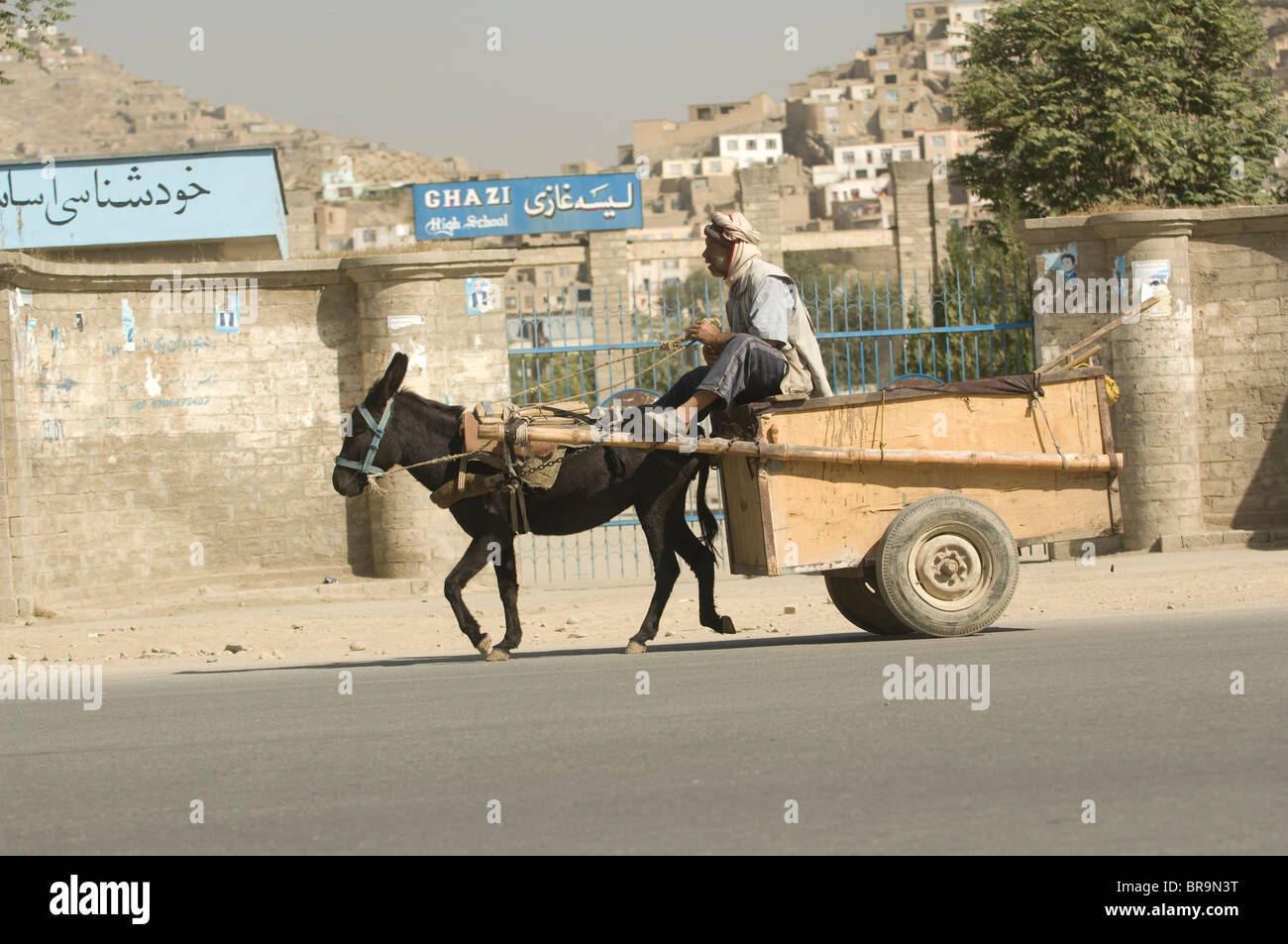 Uomo con asino e carrello a Kabul, Afghanistan Foto Stock