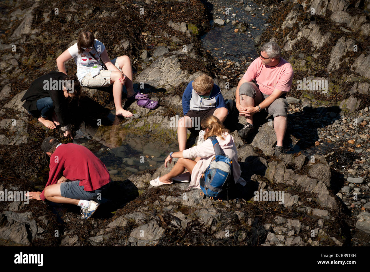 Lunedì festivo - Una famiglia in un rock pool Aberystwyth Wales UK Foto Stock