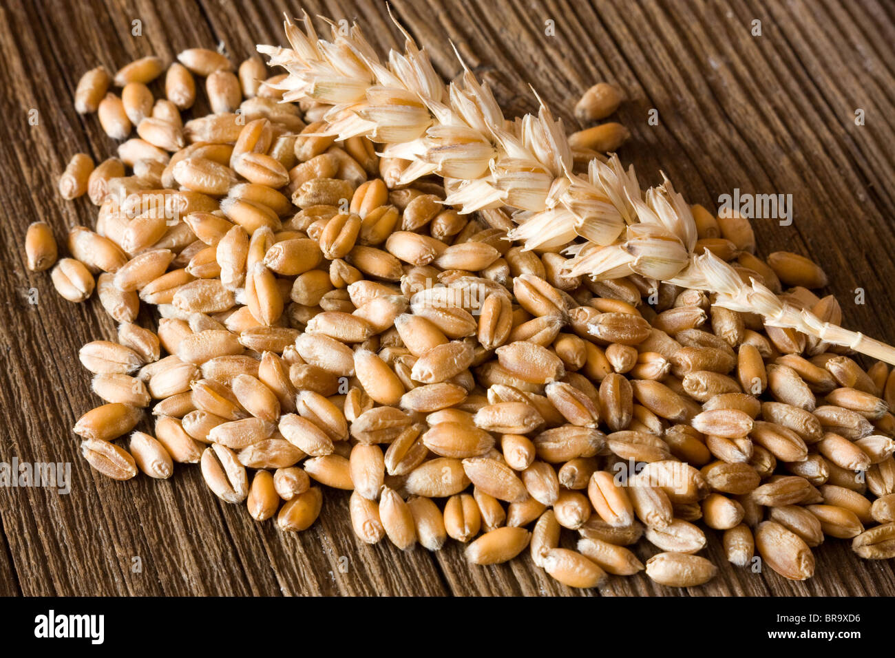 Il grano sulla scrivania in legno Foto Stock