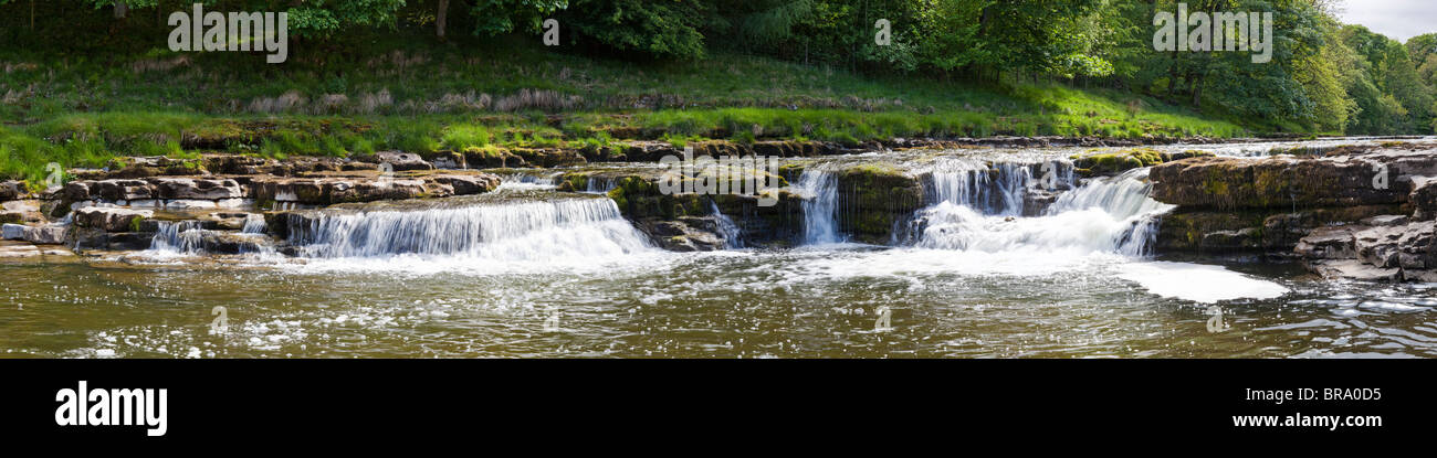Una vista panoramica della parte di tomaia cade sul Fiume Ure a Aysgarth, nello Yorkshire, Wensleydale, Yorkshire Dales National Park Foto Stock
