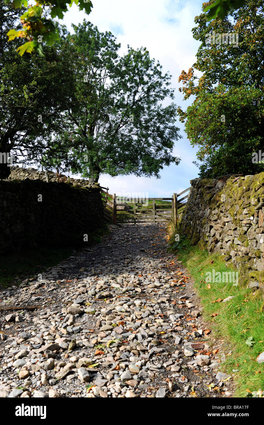 Il percorso che conduce al Loughrigg cadde vicino al Distretto del Lago Borgo di Ambleside Cumbria Regno Unito Foto Stock