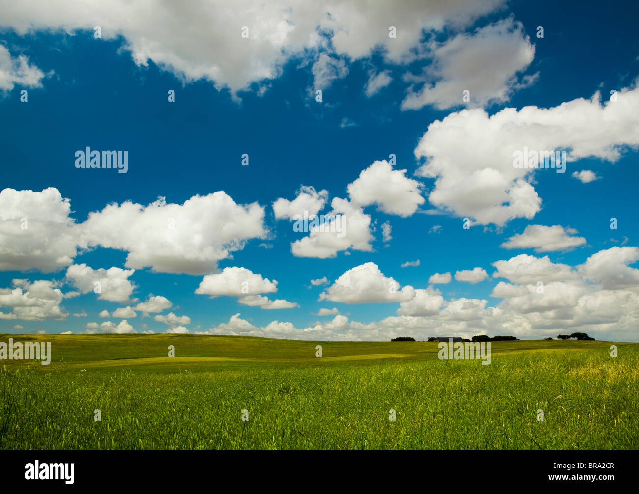 Bella e verde prato con una grande cielo molto nuvoloso Foto Stock