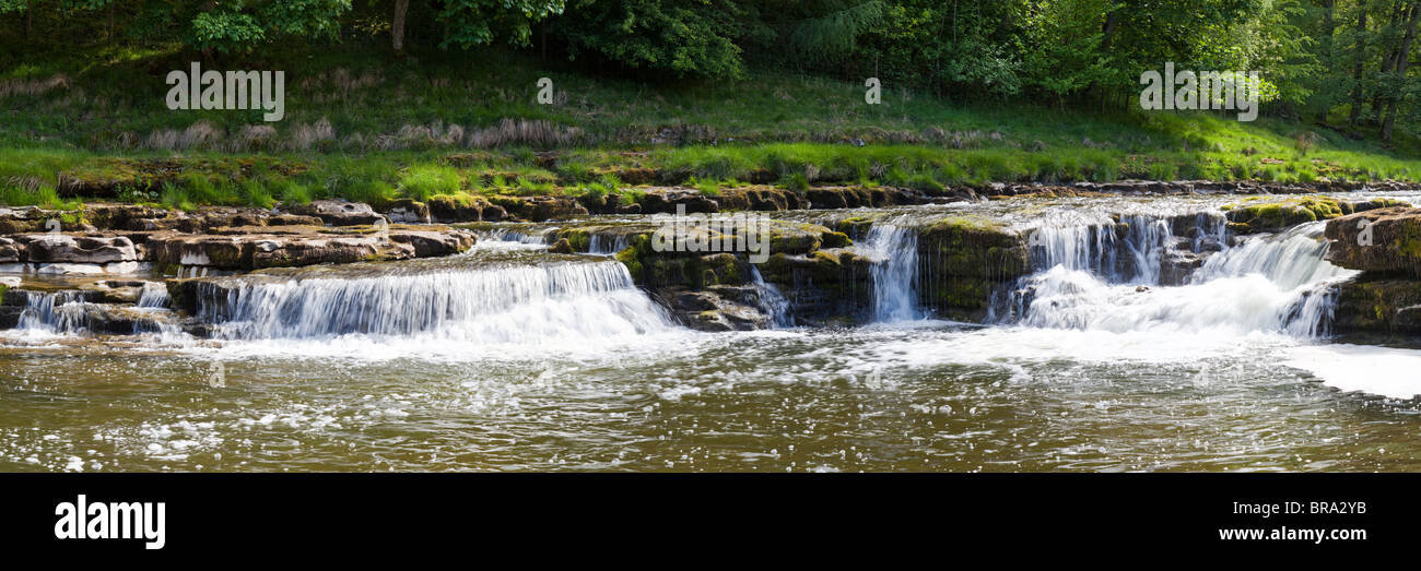 Una vista panoramica della parte di tomaia cade sul Fiume Ure a Aysgarth, nello Yorkshire, Wensleydale, Yorkshire Dales National Park Foto Stock