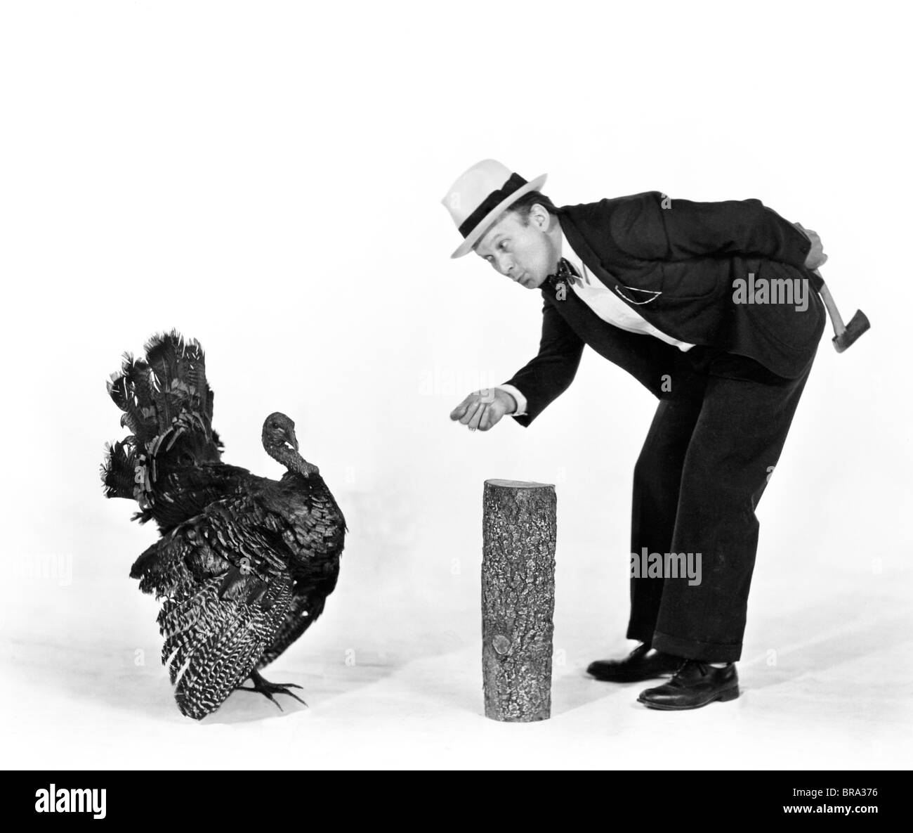 1930s 1940s uomo carattere con ascia cercando di catturare un tacchino del Ringraziamento Foto Stock