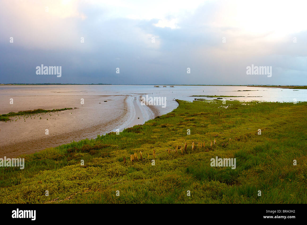 Fiume y vengono,broads,bracci berney trail,marsh,maree,Great Yarmouth,Norfolk, Regno Unito Foto Stock