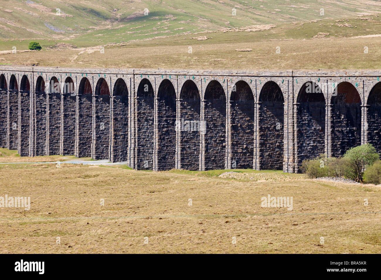 Il Viadotto Ribblehead portante il Settle a Carlisle linea ferroviaria del fiume Ribble, North Yorkshire Foto Stock