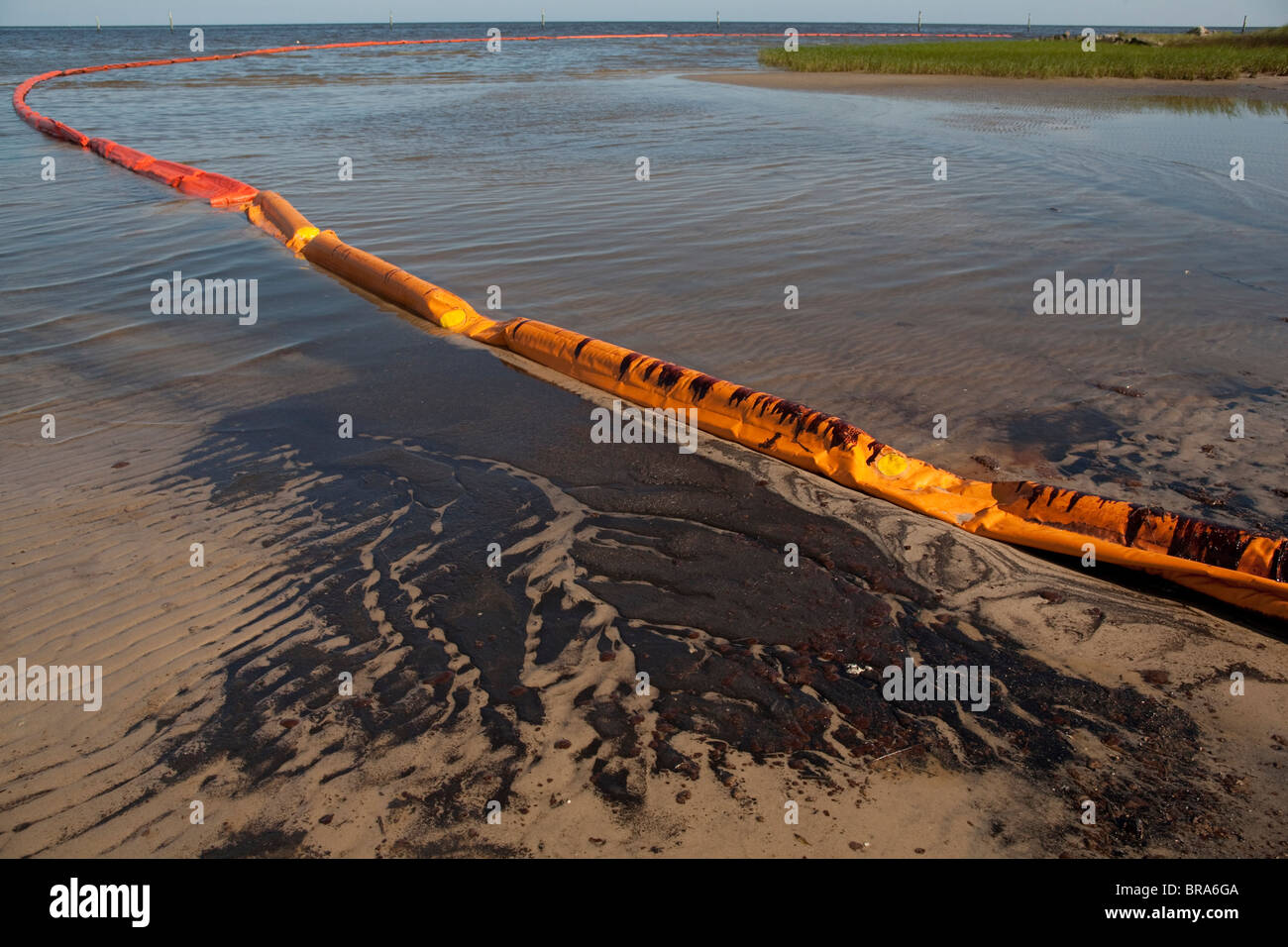 Olio dalla BP Deepwater-Horizon fuoriuscita di petrolio nel golfo del Messico copre il litorale in Waveland, Mississippi. Foto Stock