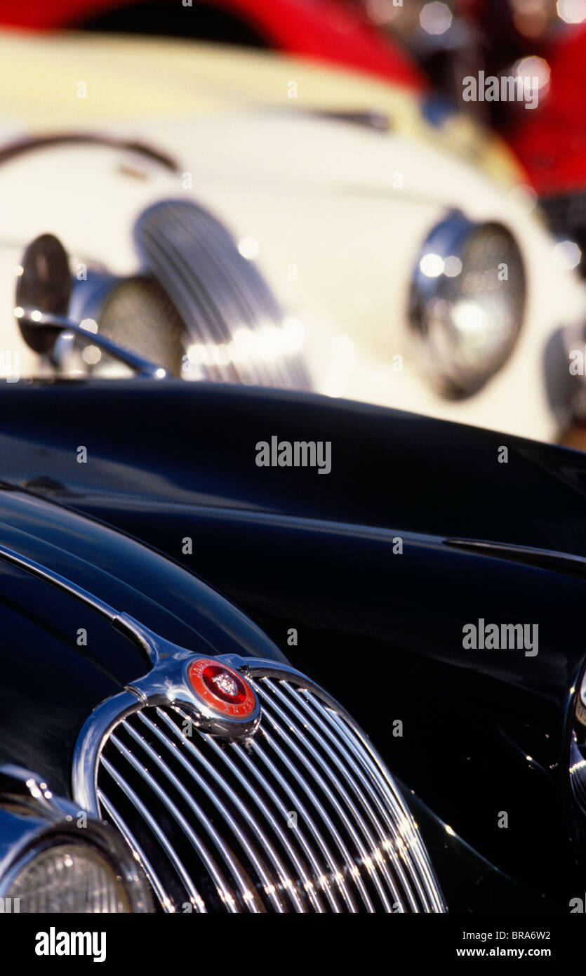 Jaguar XK 150 logo dal 1958-61 Foto Stock