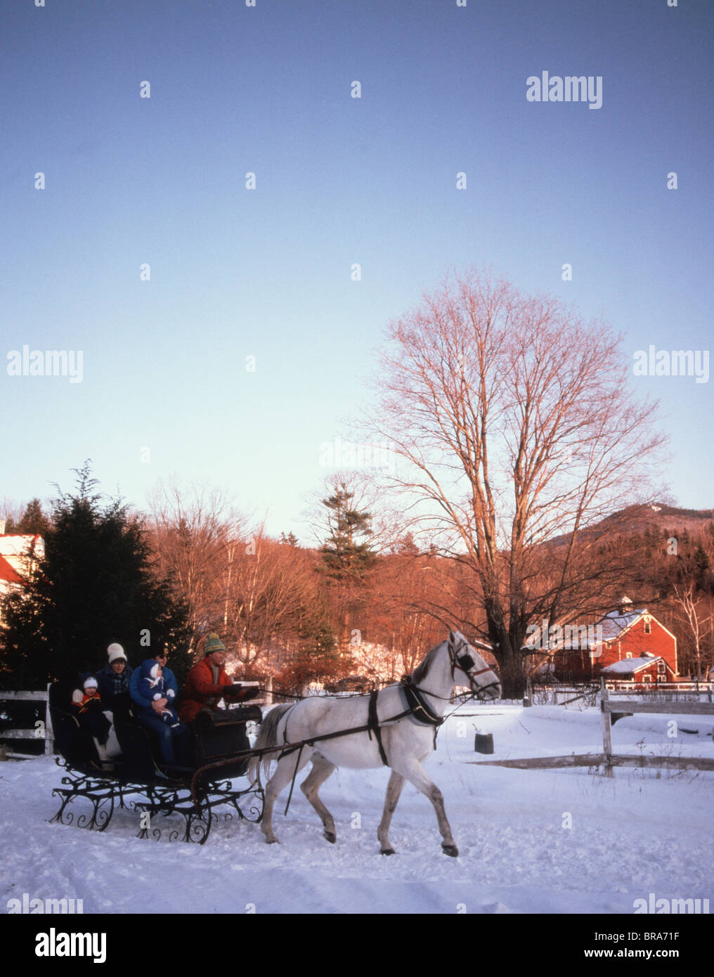 1980 degli anni ottanta la famiglia retrò cavalcando attraverso la neve in slitta trainata da cavalli Foto Stock