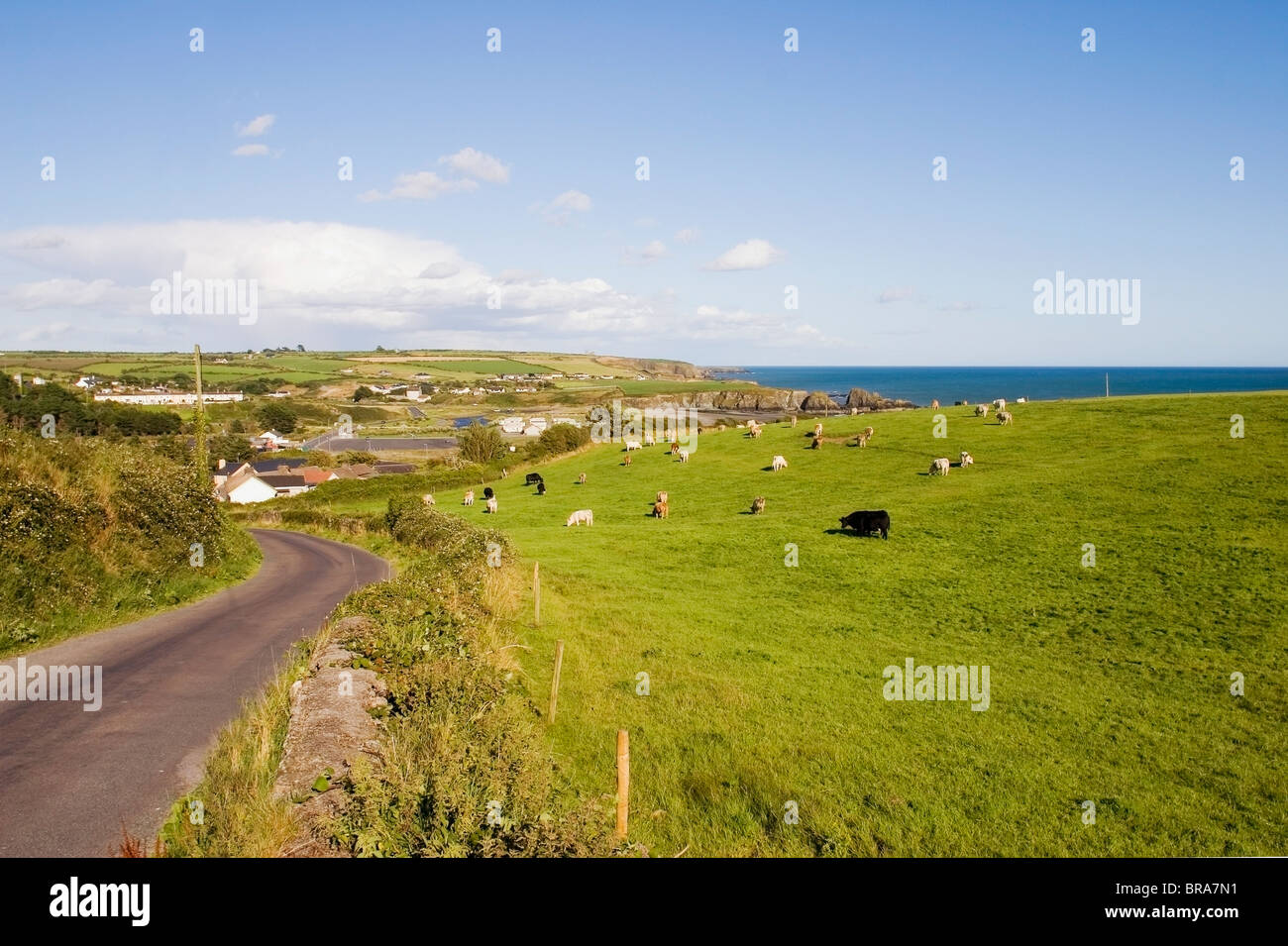 Il rame Costa, Co Waterford, Irlanda; Strada per Bunmahon Foto Stock