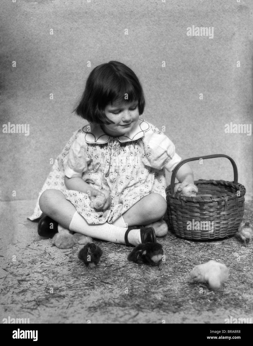 1920s 1930 ragazza seduta accanto al cesto su paglia a giocare con i pulcini Foto Stock