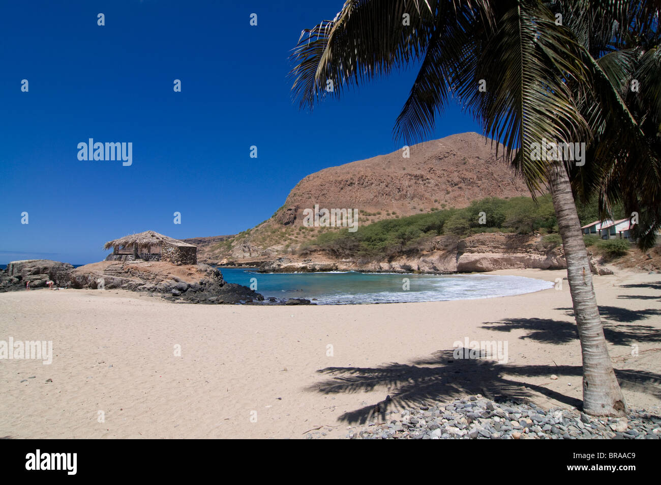 Spiaggia di sabbia con palme e rocce, Tarrafal, Santiago, Isole di Capo Verde, Oceano Atlantico, Africa Foto Stock