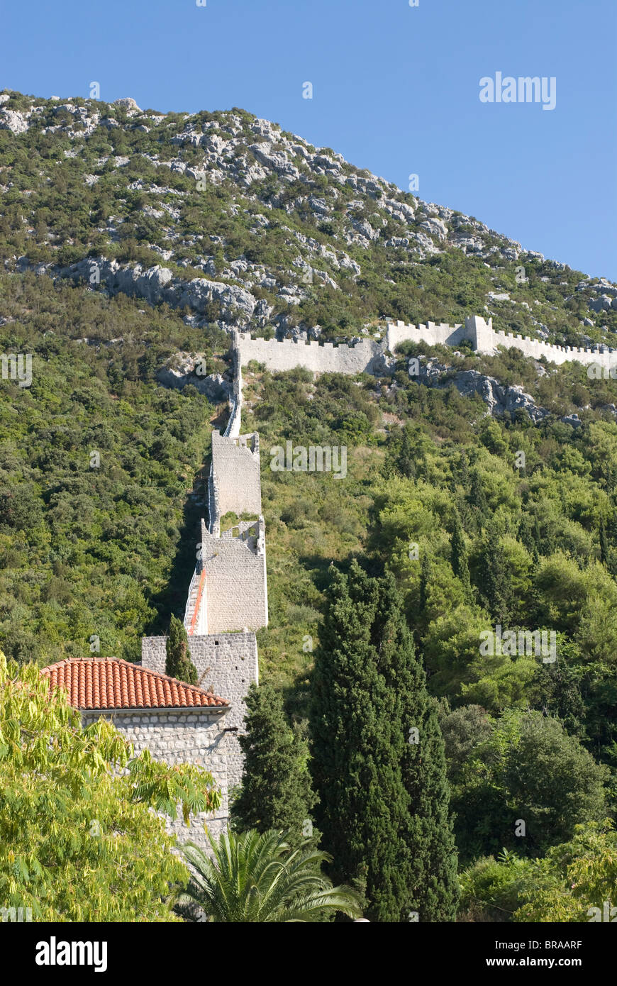 La parete di Ston, penisola di Sabbioncello, Croazia, Europa Foto Stock