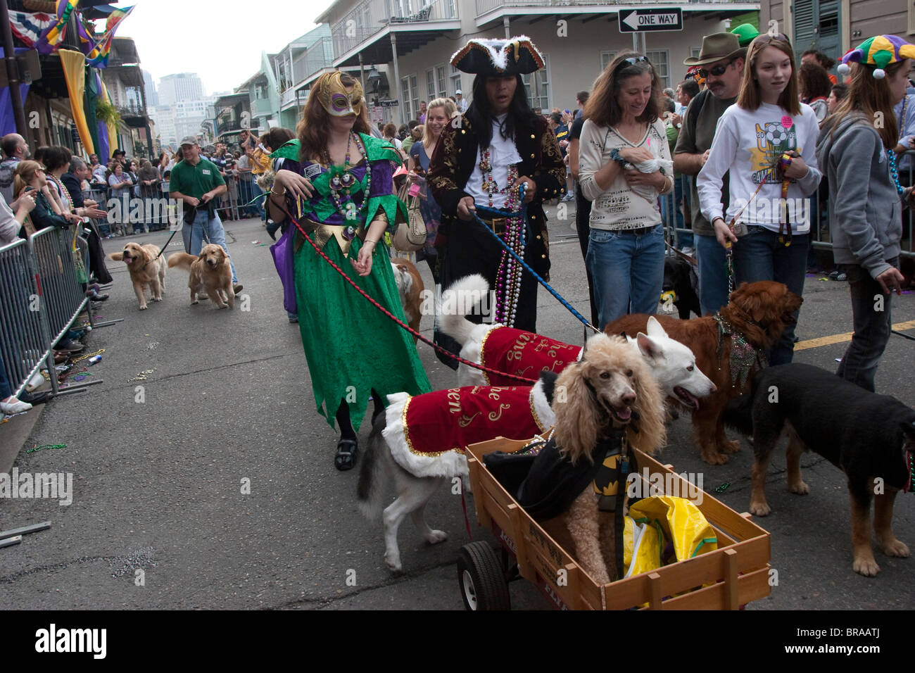 I cani in costume parade di New Orleans durante l annuale Barkus Mardi Gras Parade. Foto Stock