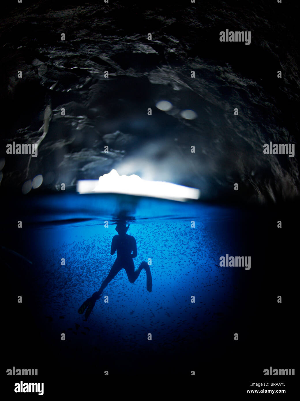 Immersione libera in una grotta fuori all'Isola Espanola, Galapagos, Sud America Foto Stock