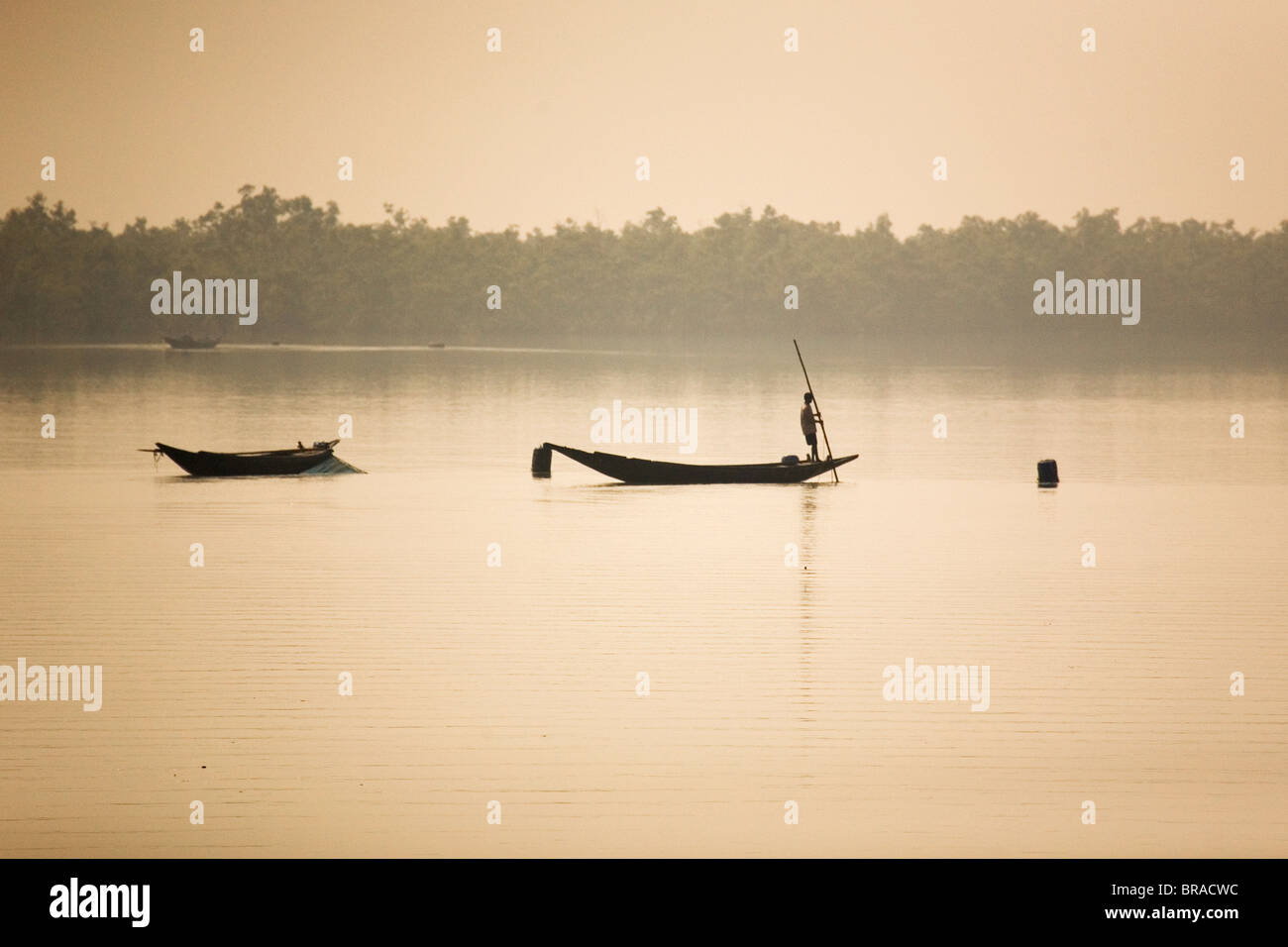 Un uomo si erge su una barca in Sunderbans (Sundarbans) Parco Nazionale, sito Patrimonio Mondiale dell'UNESCO, West Bengal, India, Asia Foto Stock