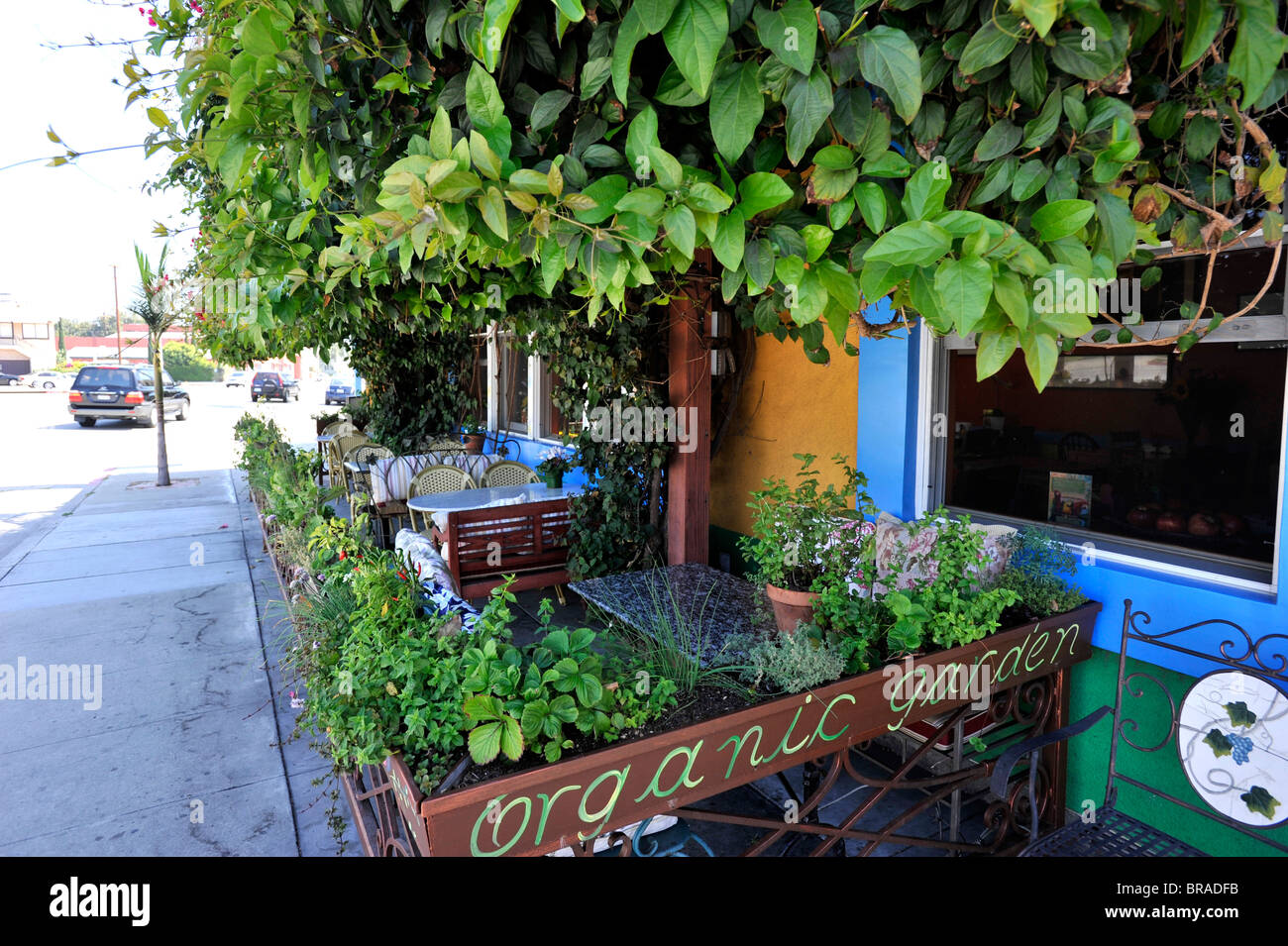 Cafe Brasil di Culver City Los Angeles è un elegante pet friendly motel-cafe. Foto Stock